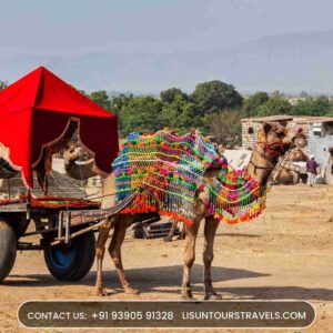 Best Travel Agency in Rajasthan