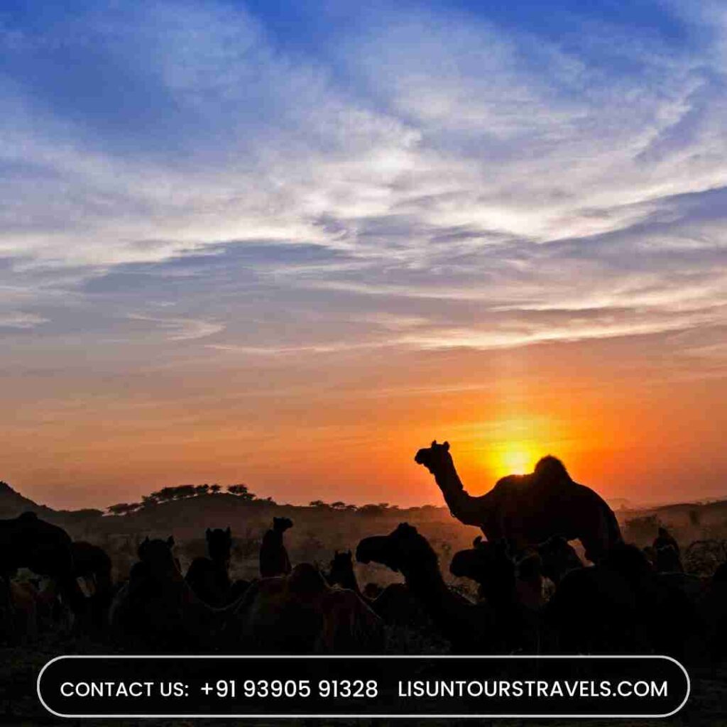 Rajasthan Tour Itinerary