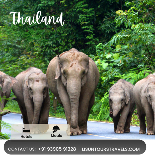 Thailand Trip Packages from India