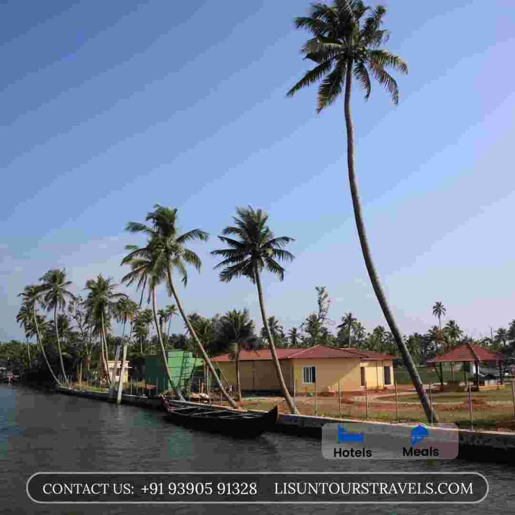 best tour operators in kerala