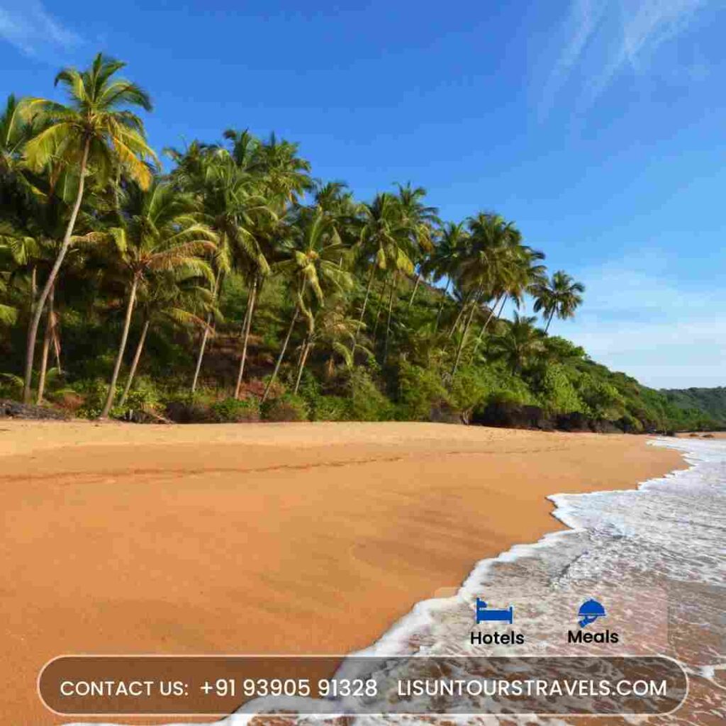 goa packages for family