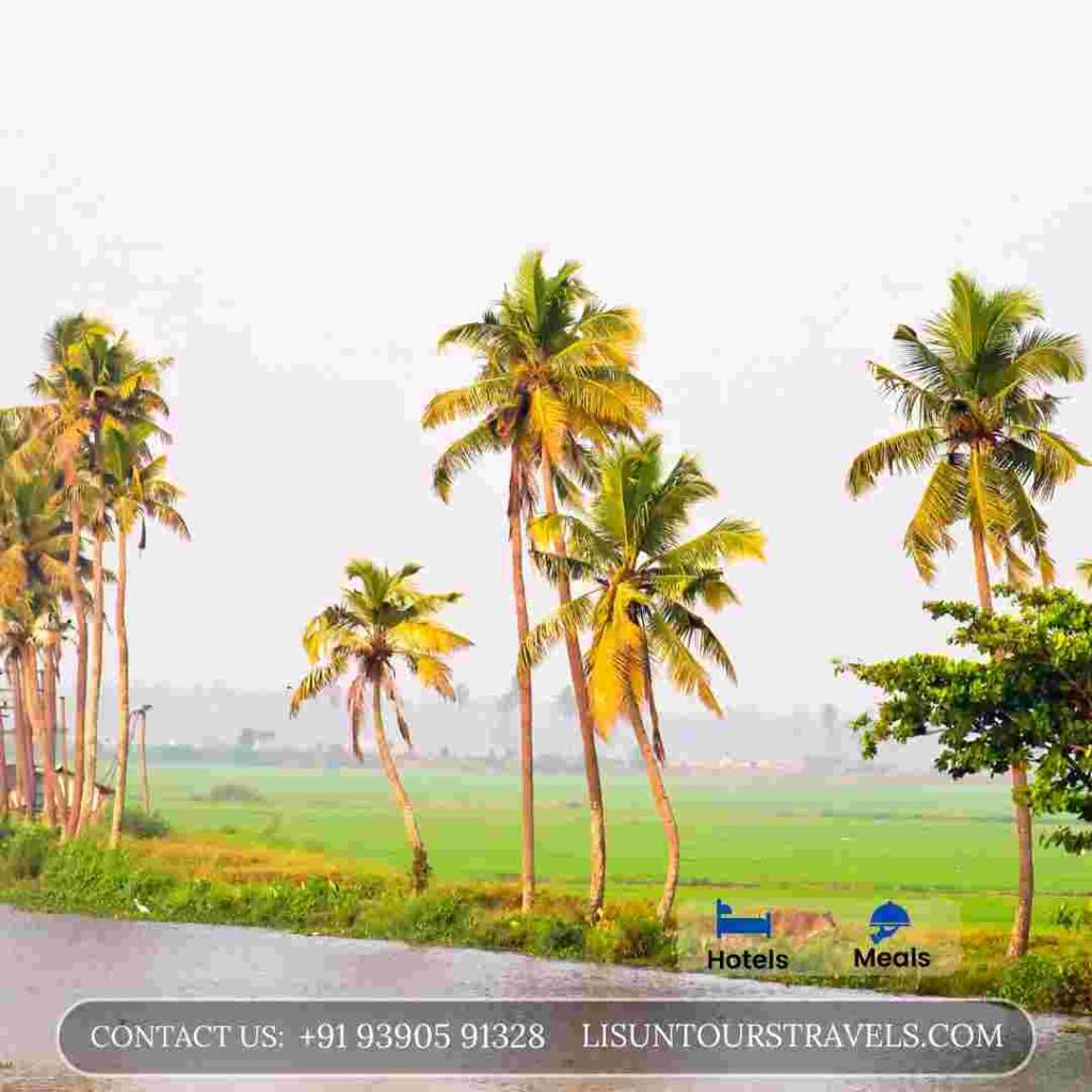 kerala family vacation packages