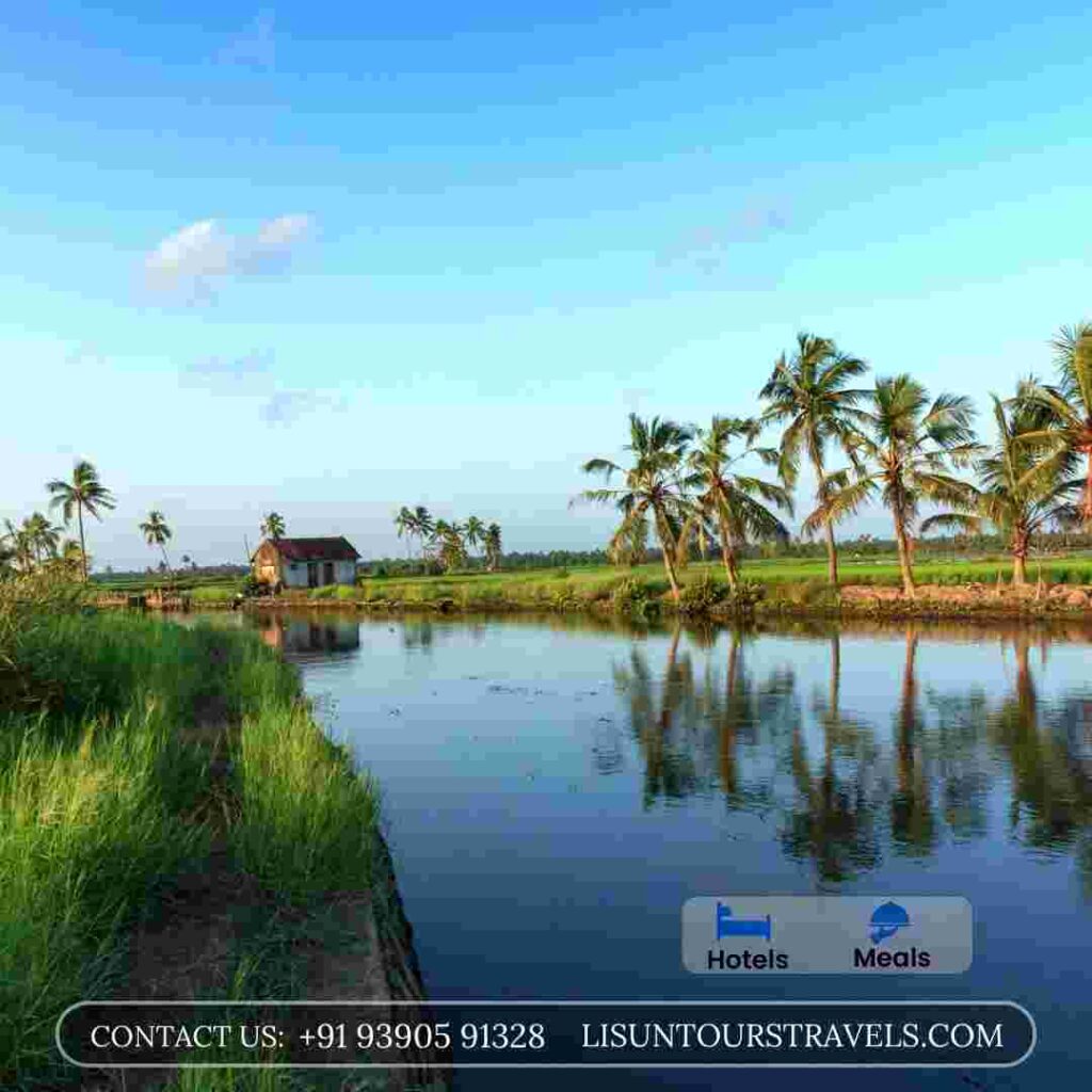 kerala itinerary 5 days