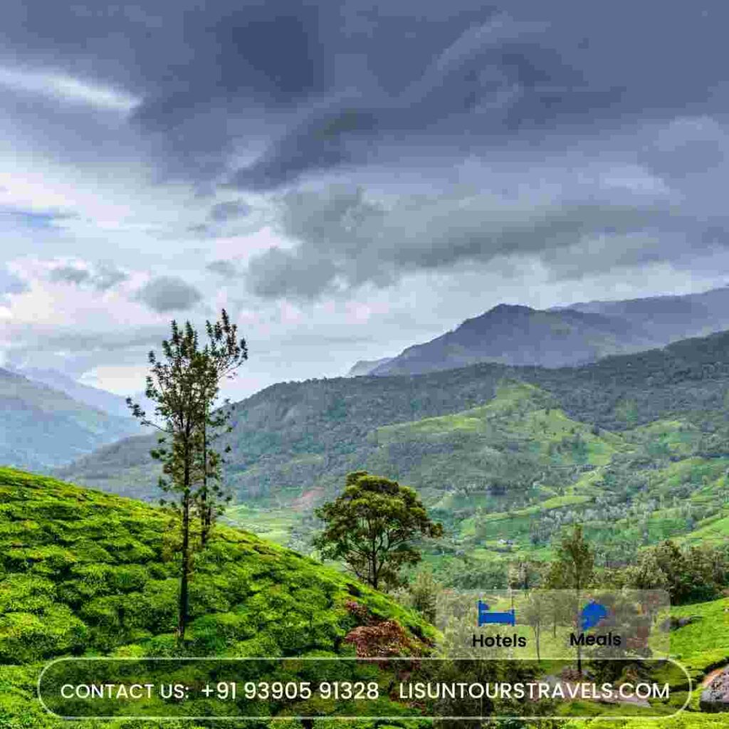 kerala munnar packages