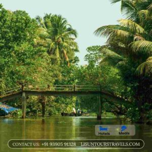 kerala tour packages from kochi