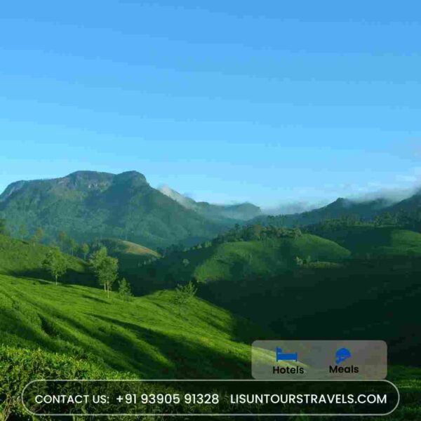 munnar package trip