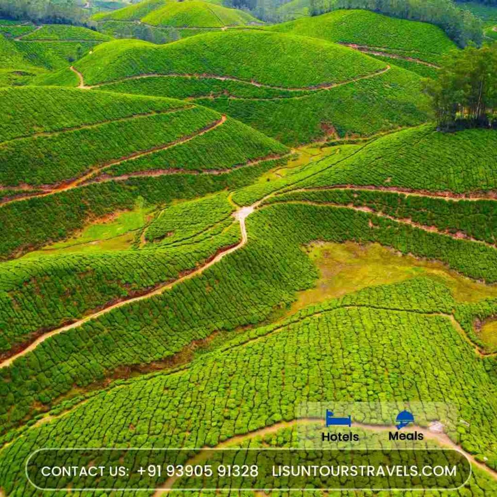 munnar tour holiday packages